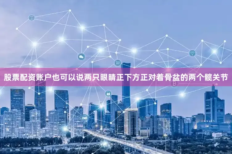 股票配资账户也可以说两只眼睛正下方正对着骨盆的两个髋关节