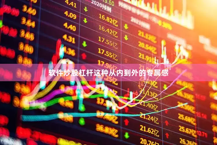 软件炒股杠杆这种从内到外的专属感