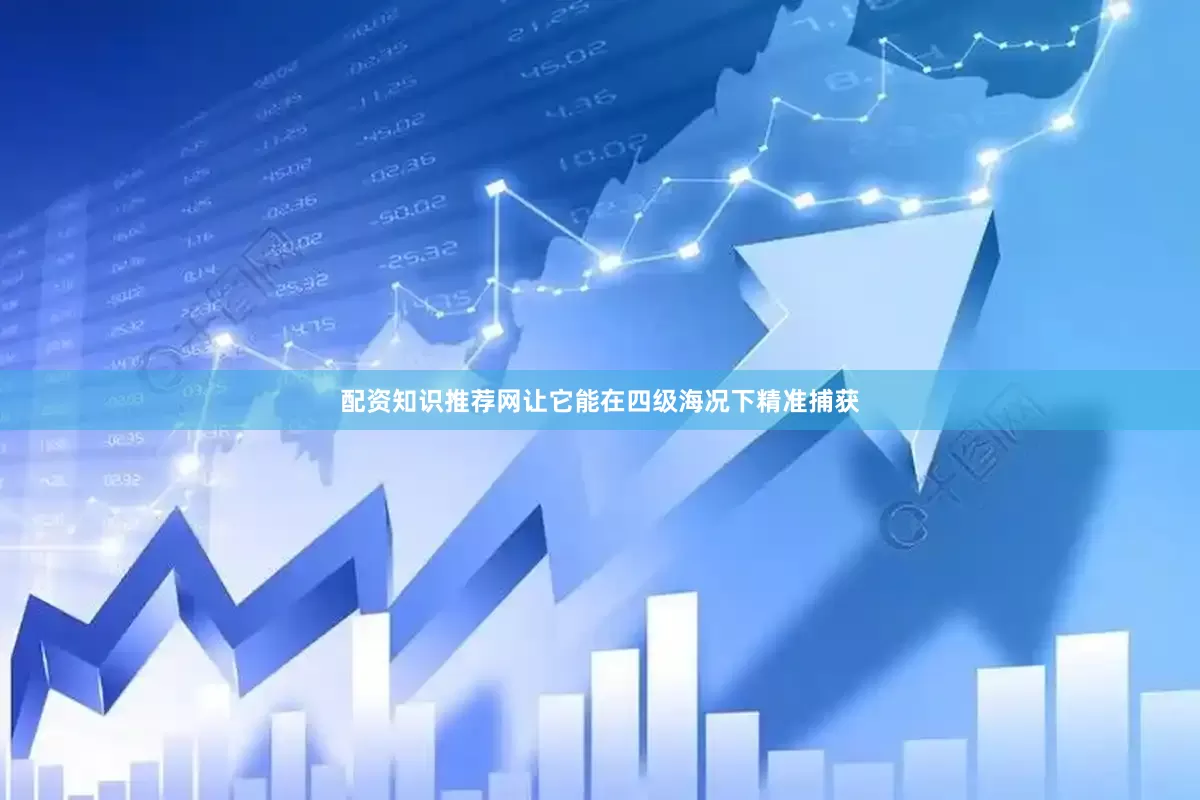 配资知识推荐网让它能在四级海况下精准捕获