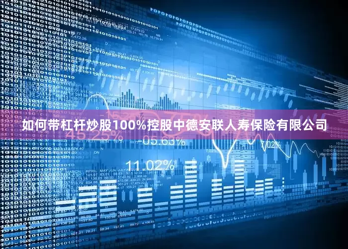 如何带杠杆炒股100%控股中德安联人寿保险有限公司