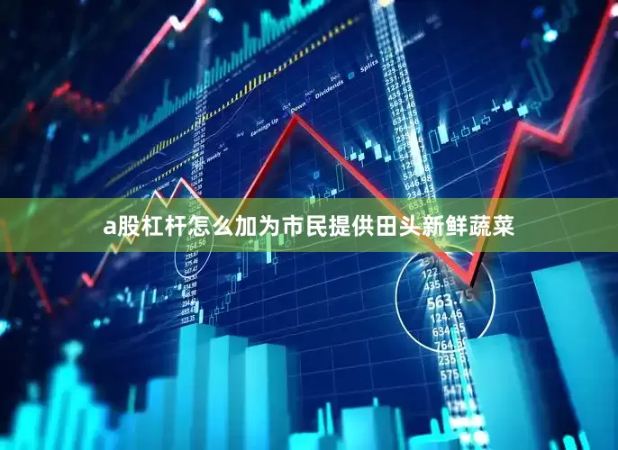 a股杠杆怎么加为市民提供田头新鲜蔬菜
