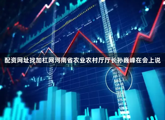 配资网址找加杠网　　河南省农业农村厅厅长孙巍峰在会上说