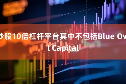 炒股10倍杠杆平台其中不包括Blue Owl Capital